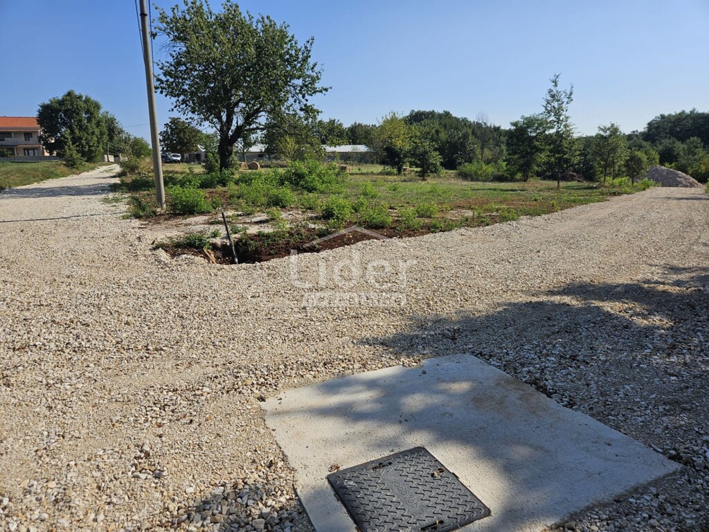 Image 6225243 - 5