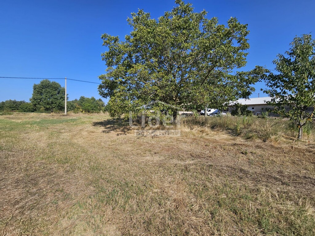 Image 6225243 - 3