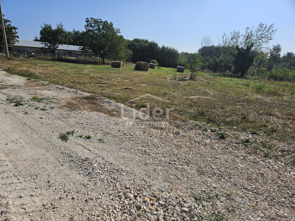 Image 6225243 - 6