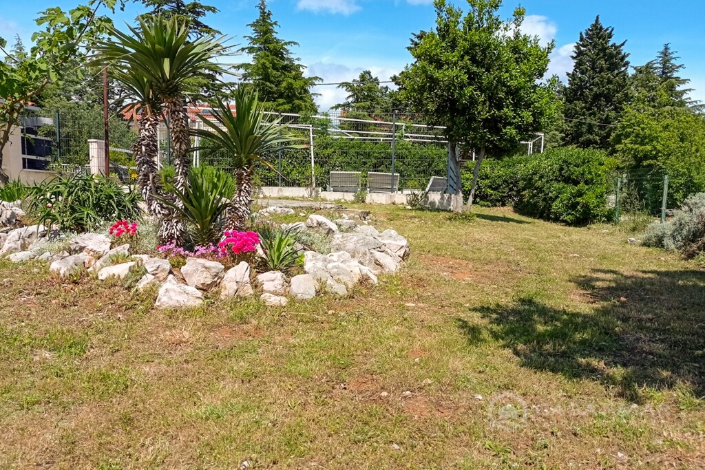 Image 6225267 - 3