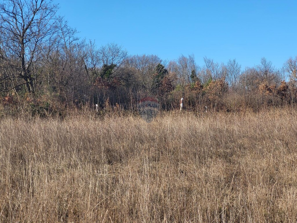 Image 6225456 - 2