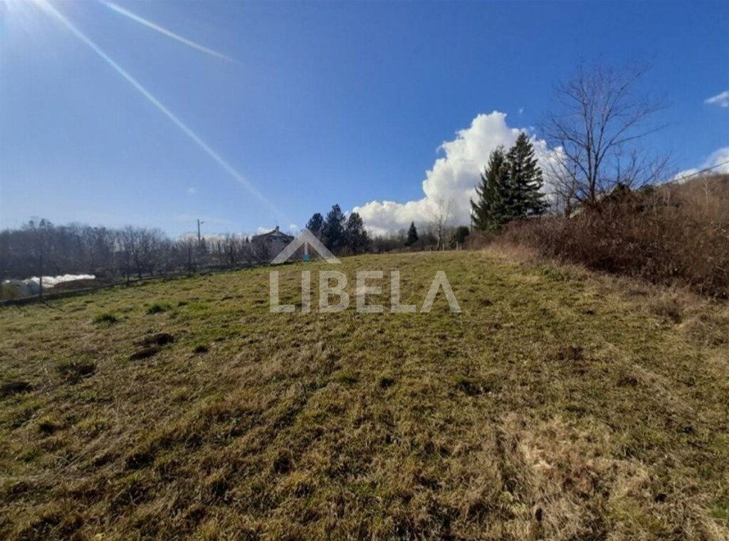 Image 6225487 - 3