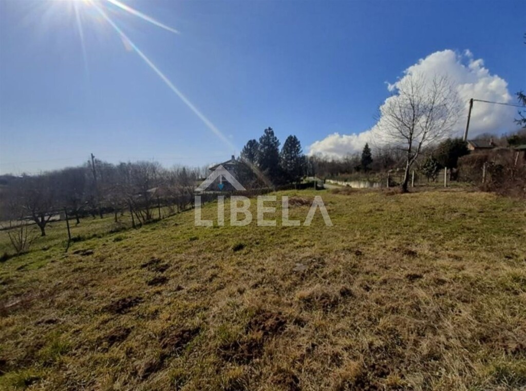 Image 6225487 - 2