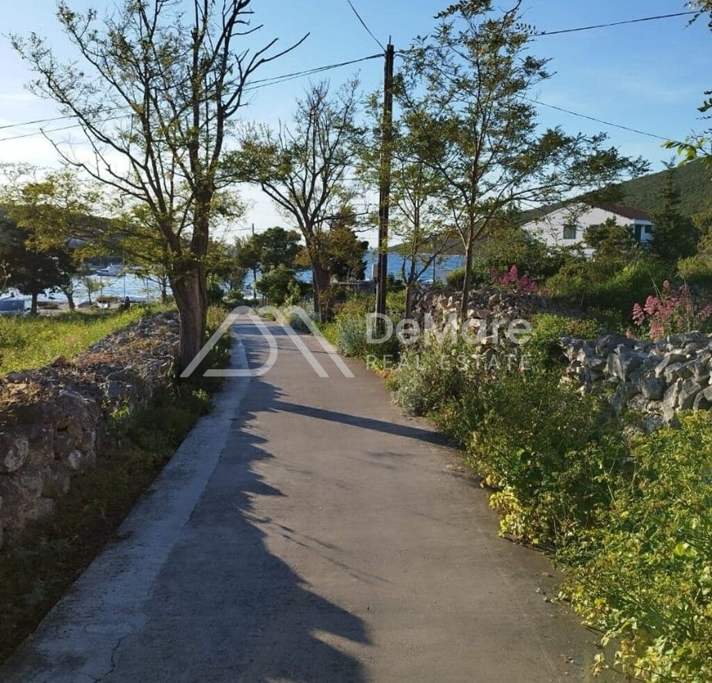 Image 6225500 - 4