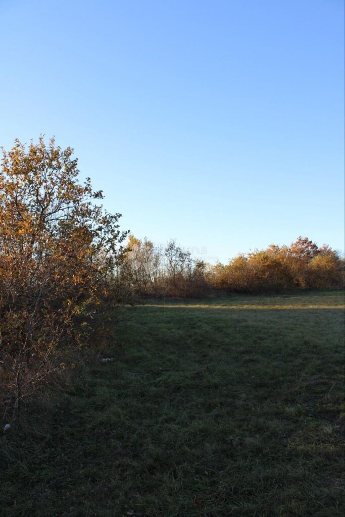 Image 6225811 - 5