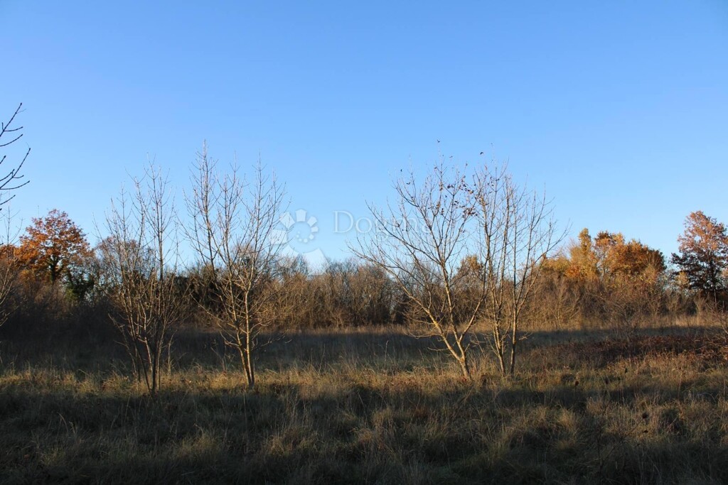 Image 6225811 - 6