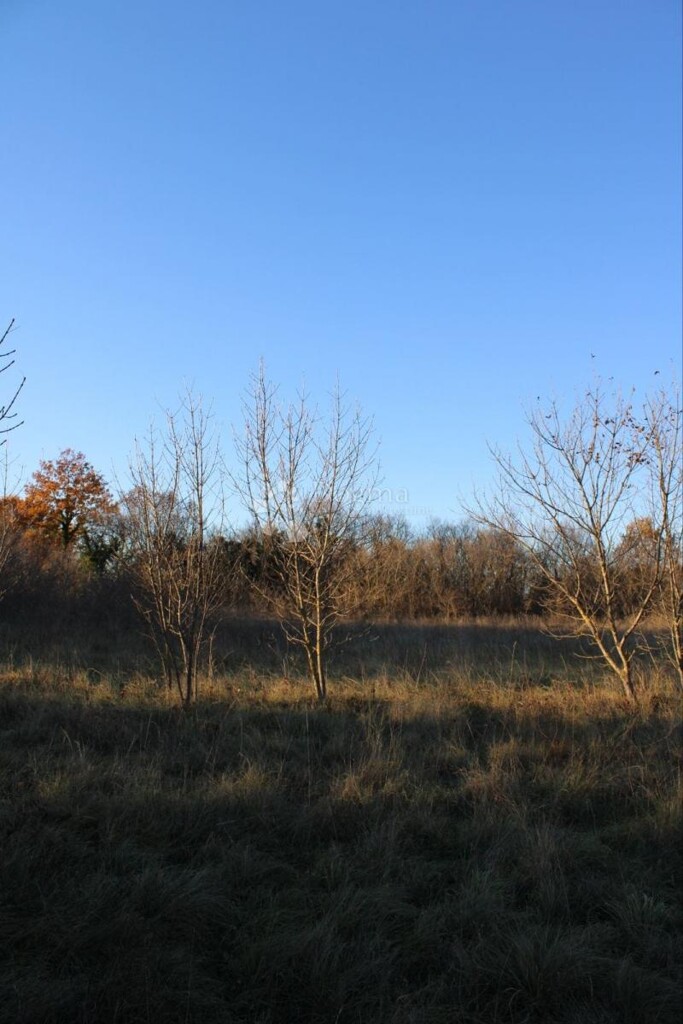 Image 6225811 - 4