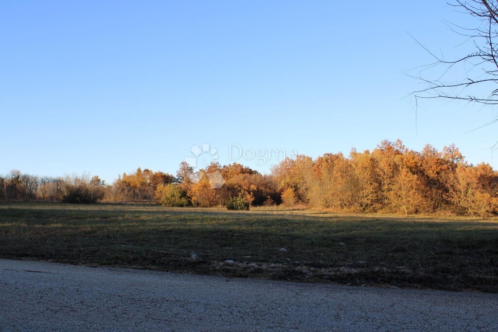 Image 6225811 - 1