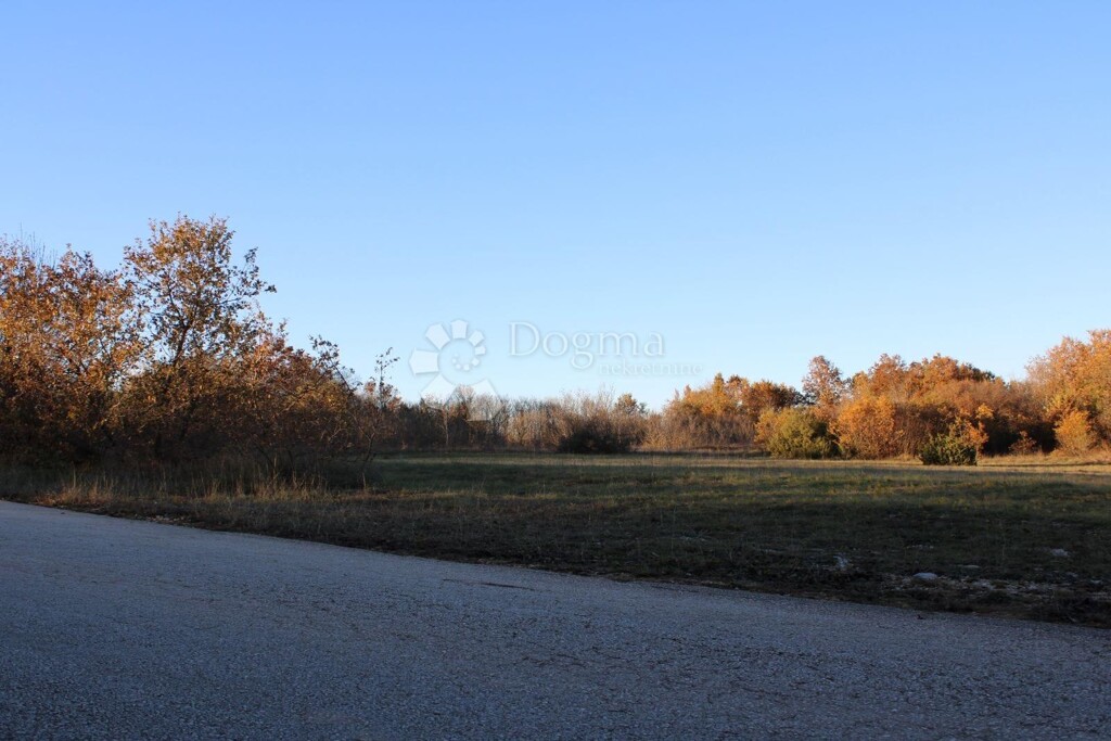 Image 6225811 - 2