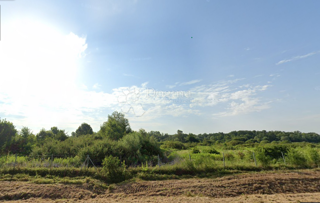 Image 6225829 - 1
