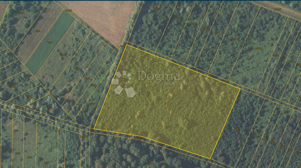 Image 6225829 - 2