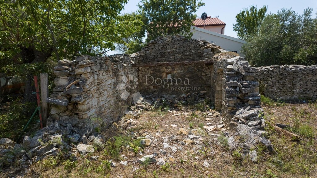 Image 6225866 - 2