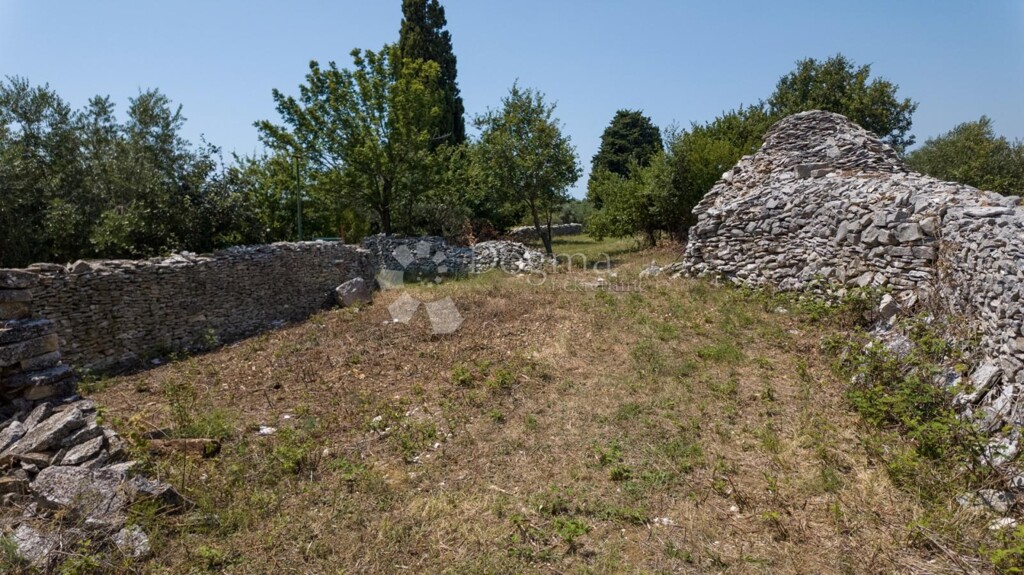 Image 6225866 - 3
