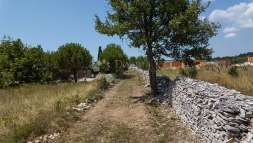 Poljoprivredno zemljište s maslinikom u blizini Vodnjana