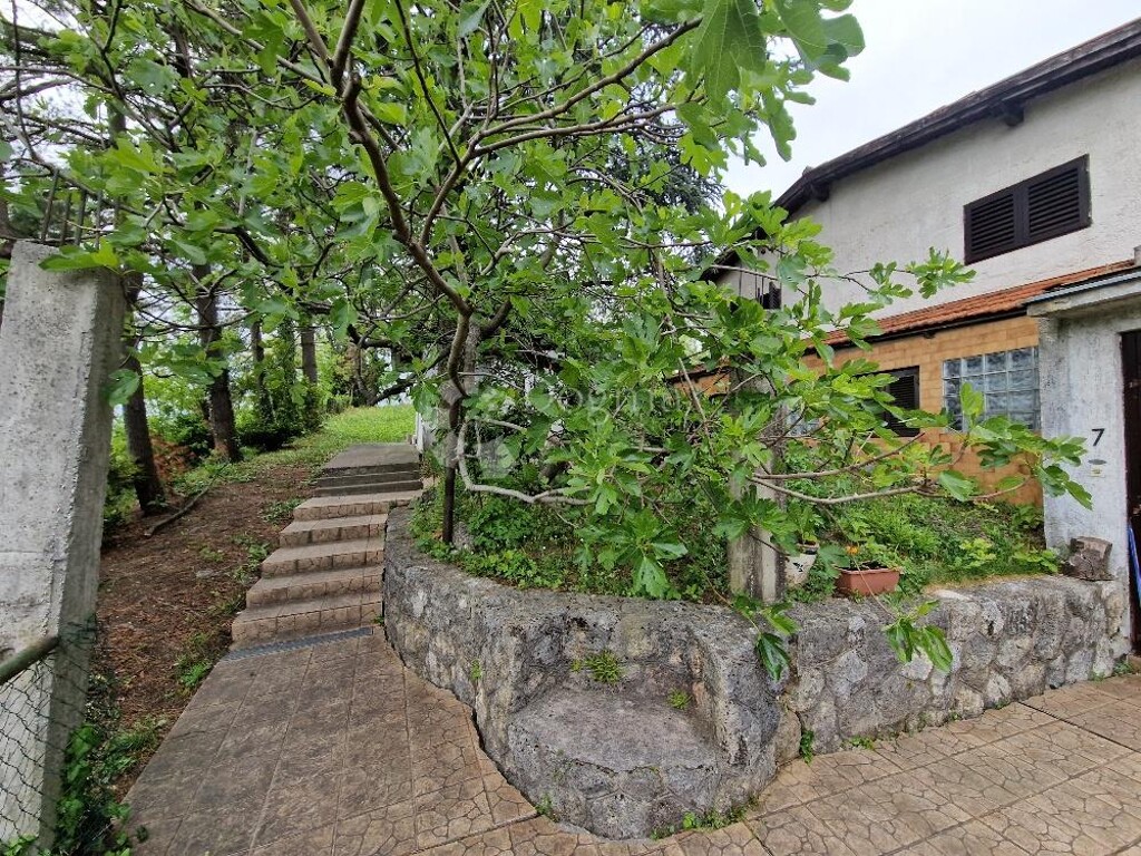 Image 6225882 - 12