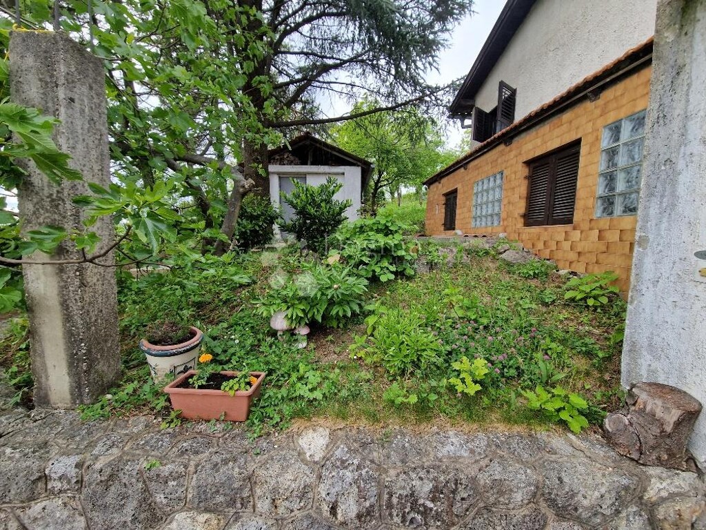 Image 6225882 - 16