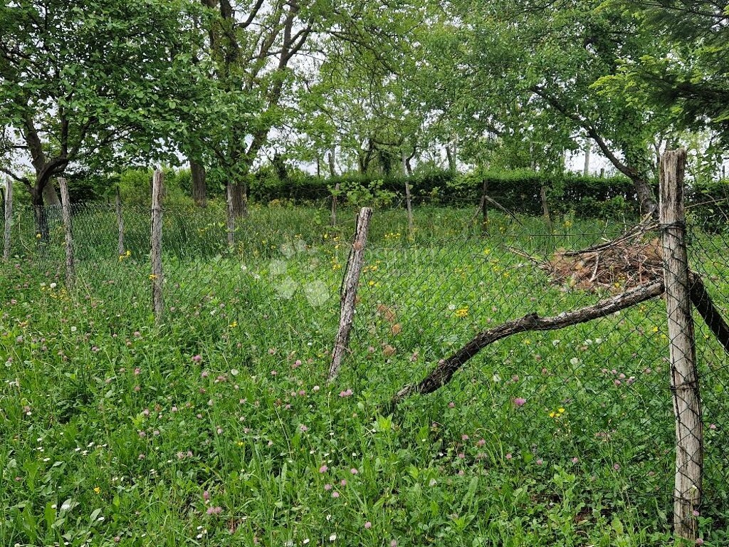 Image 6225882 - 3