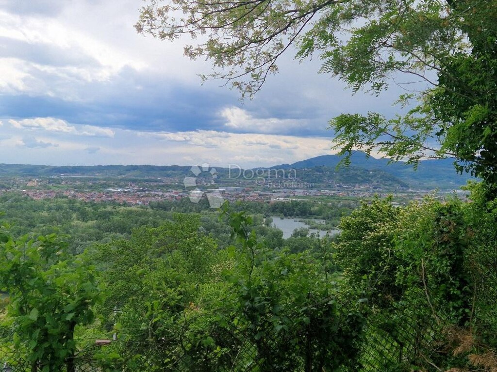 Image 6225882 - 1