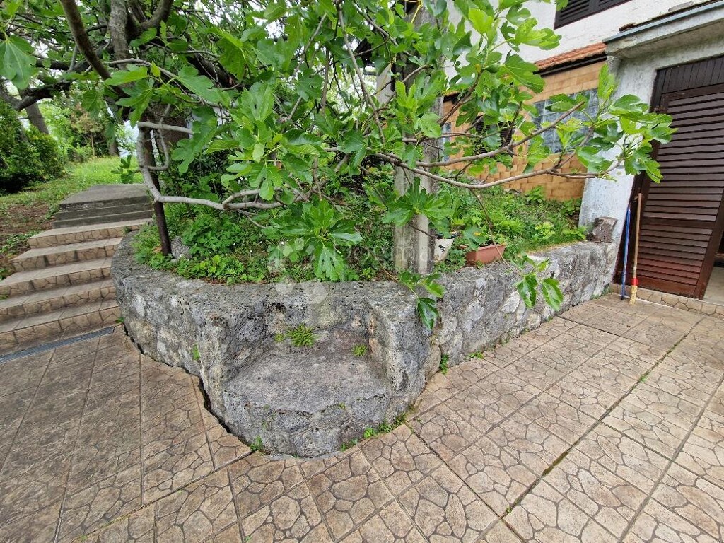 Image 6225882 - 17