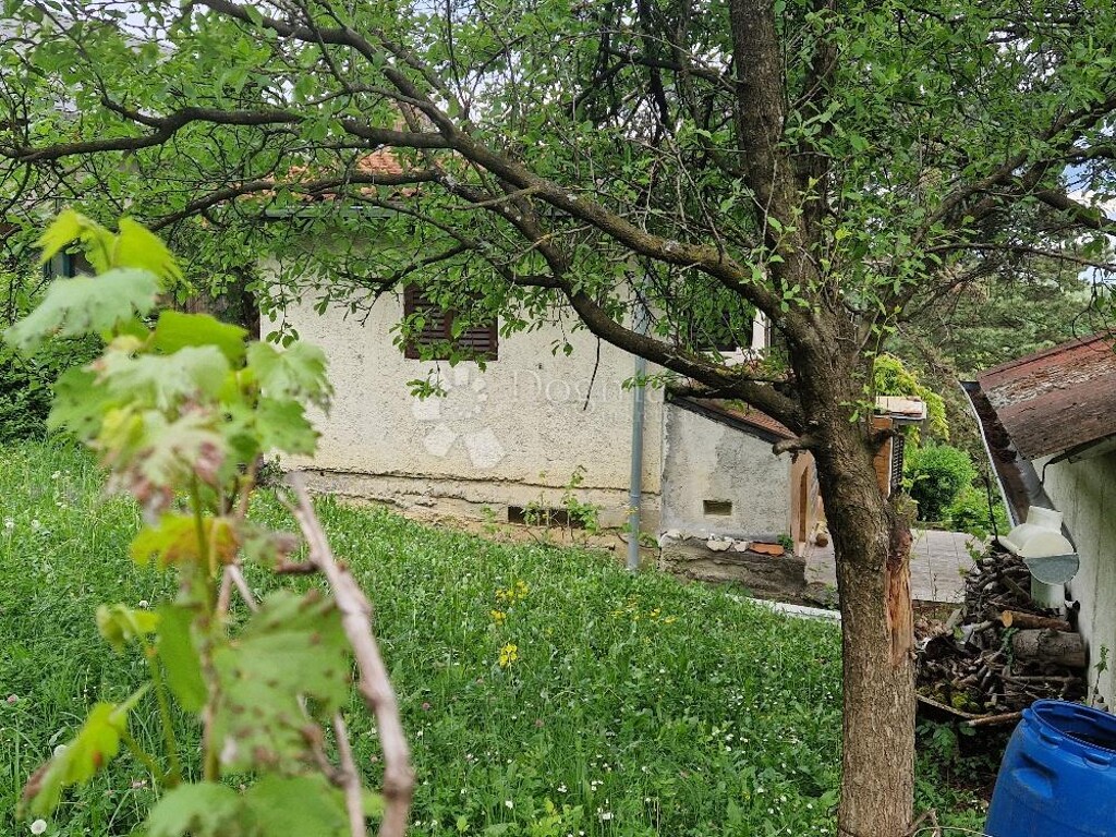Image 6225882 - 5