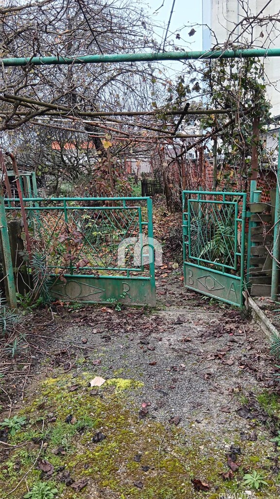 Image 6225884 - 6
