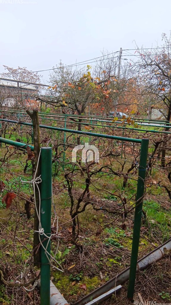 Image 6225884 - 7