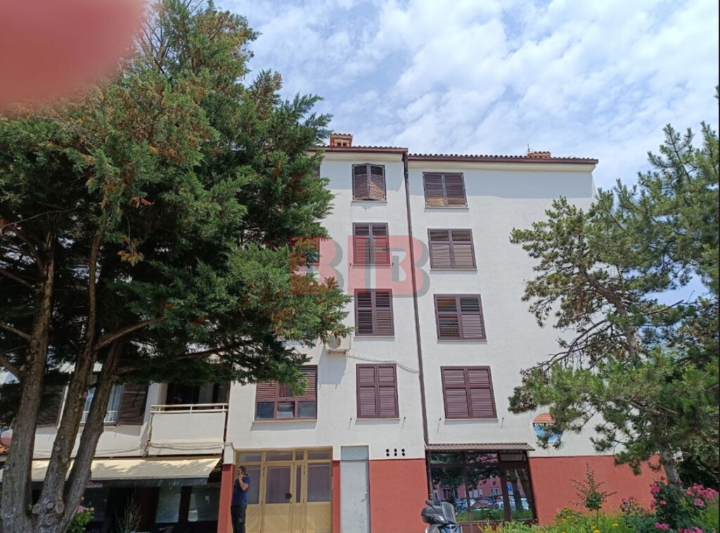 Image 6225939 - 2