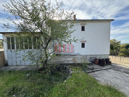 Thumbnail 6225963 - 4