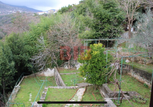 Thumbnail 6225965 - 21