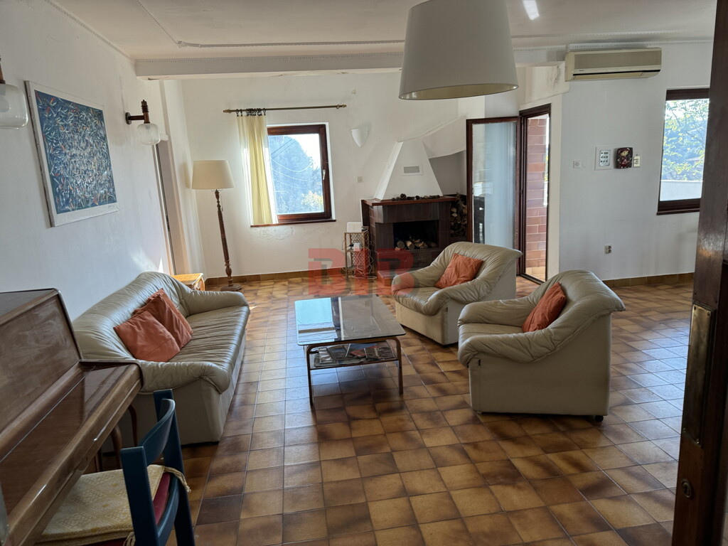 Image 6225965 - 13
