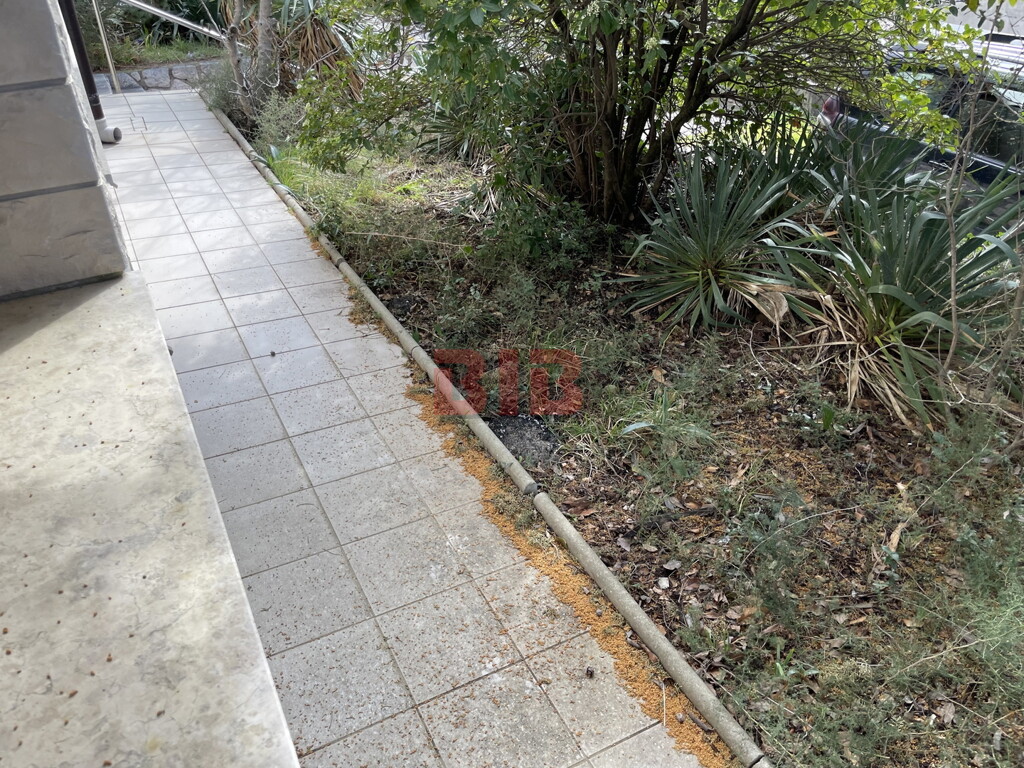 Image 6225968 - 19
