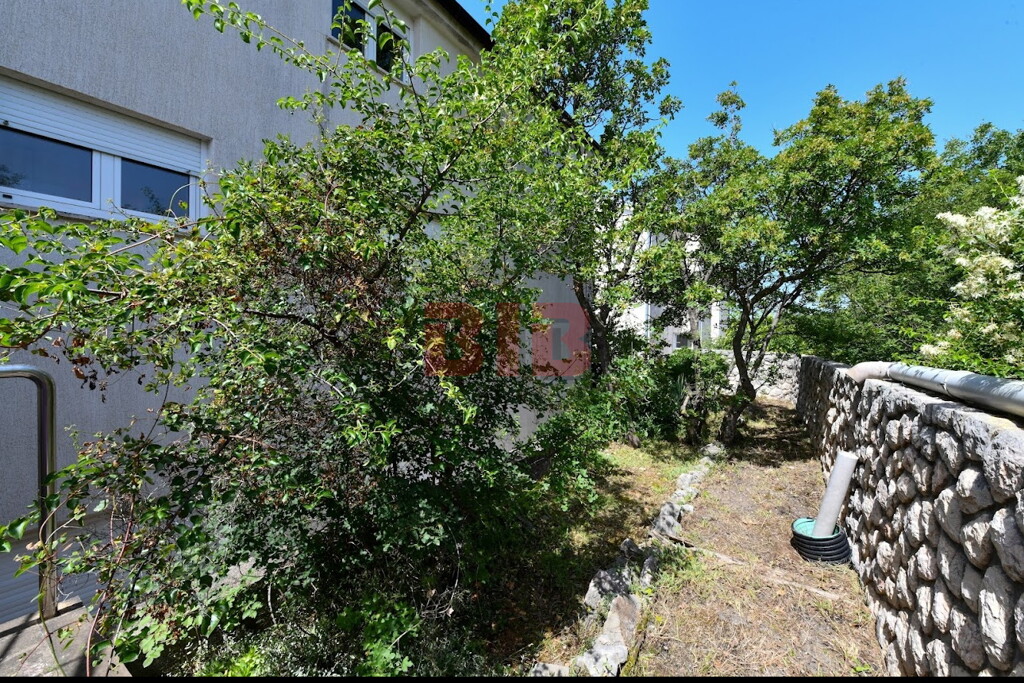 Image 6225968 - 16