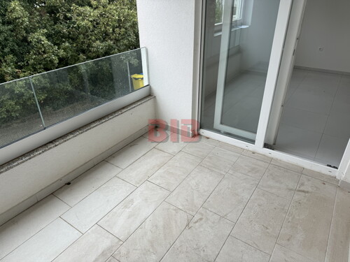 Thumbnail 6226002 - 4