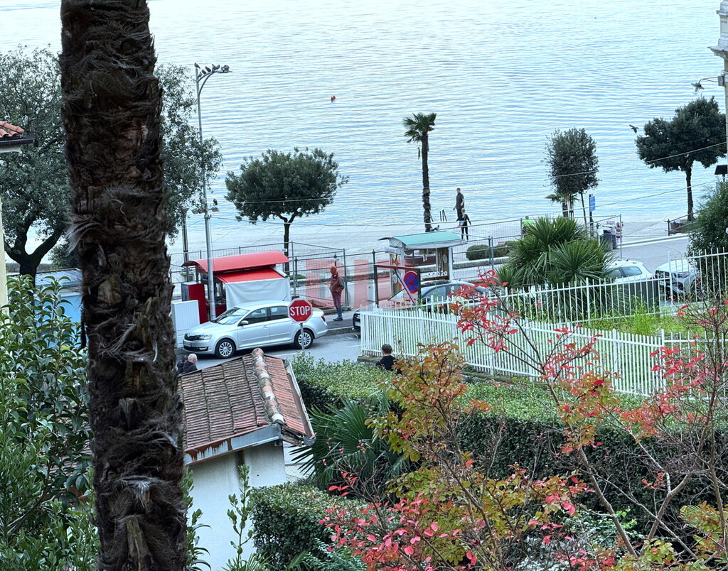 Image 6226005 - 2