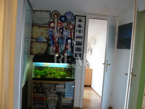 Thumbnail 6226029 - 12