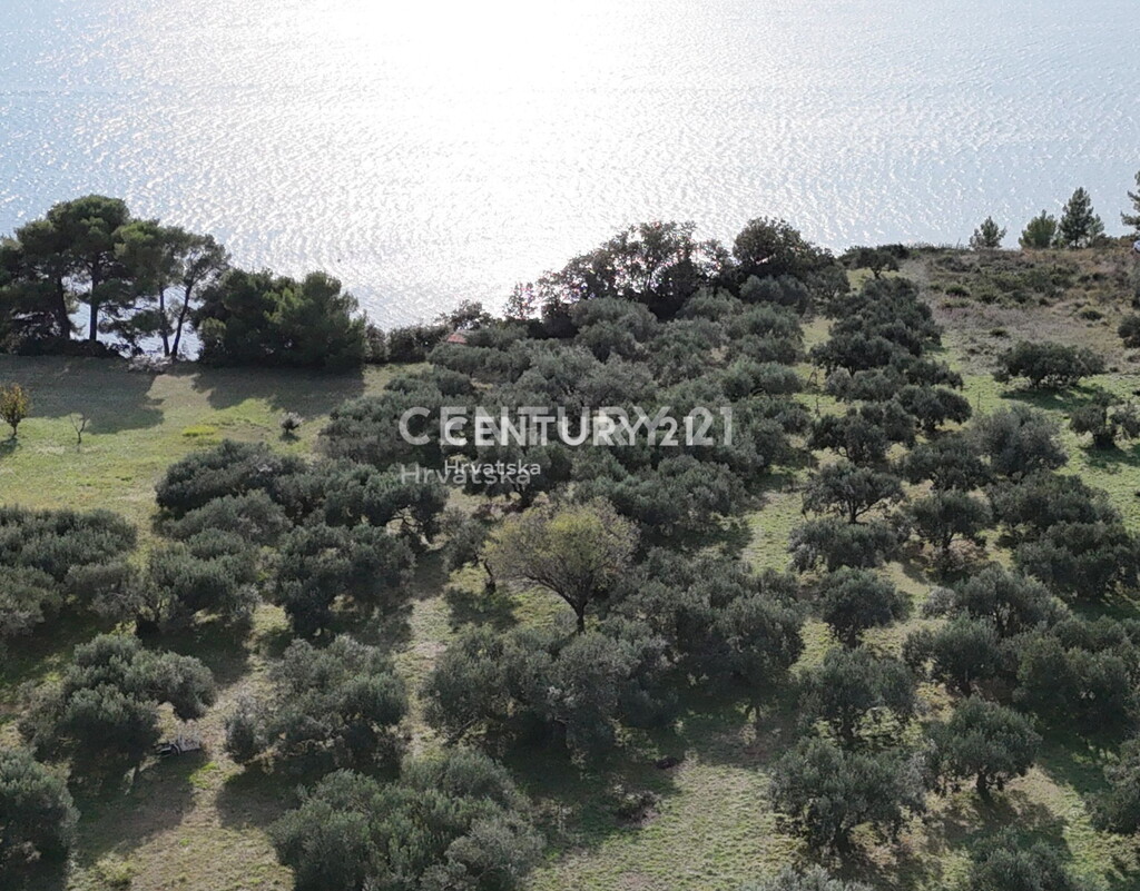 Image 6226033 - 1