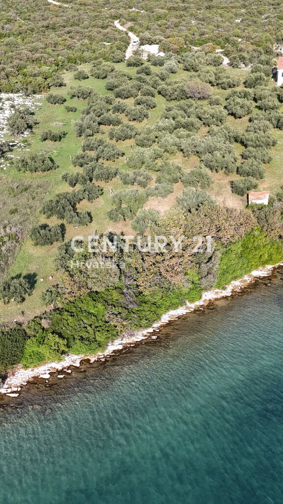 Image 6226033 - 7