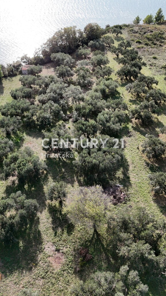 Image 6226033 - 5