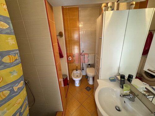 Thumbnail 6226072 - 11