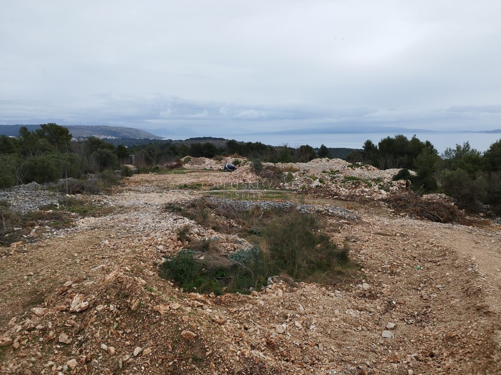 Image 6226095 - 2