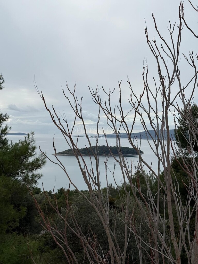 Image 6226095 - 5