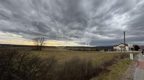 Thumbnail 6226104 - 2