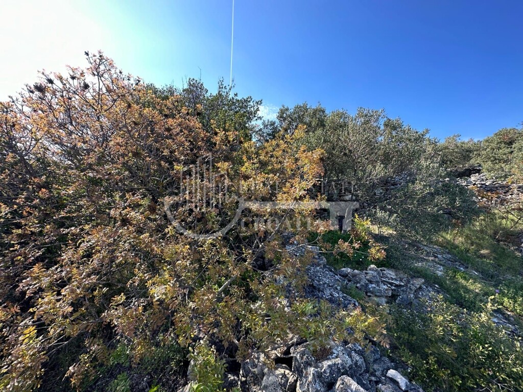 Image 6226108 - 22