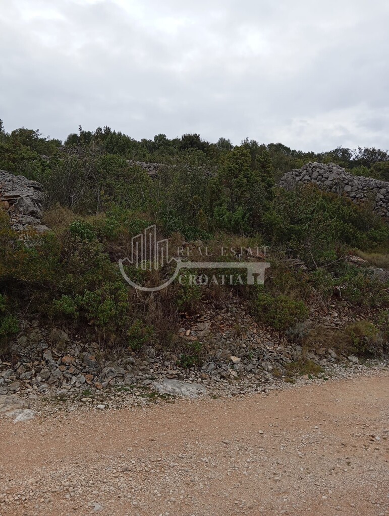Image 6226108 - 18