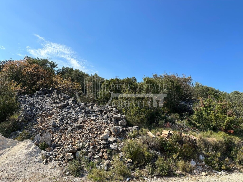 Image 6226108 - 31