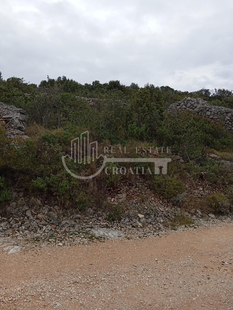 Image 6226108 - 17