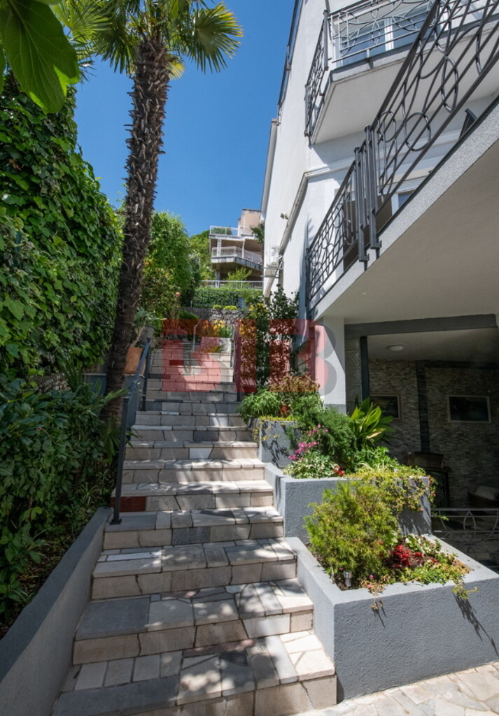 Image 6226120 - 11