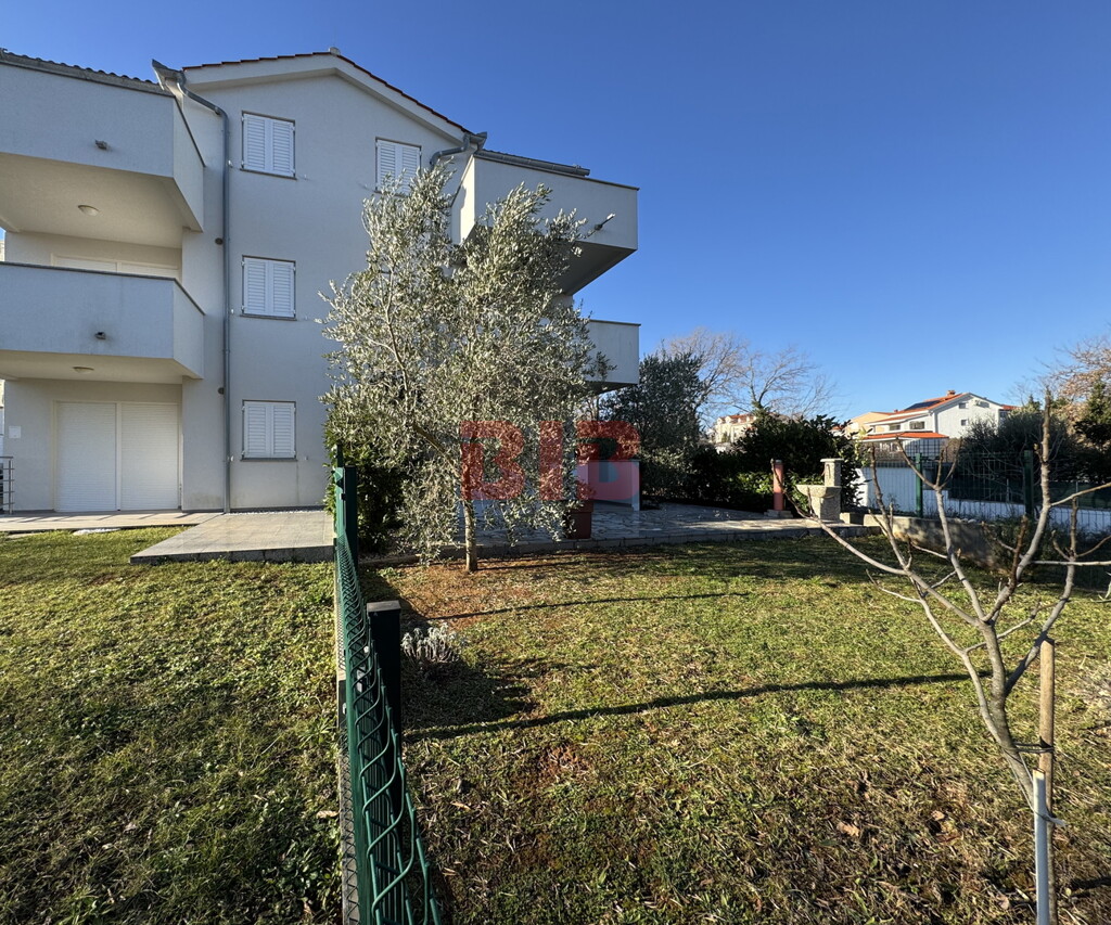 Image 6226138 - 1