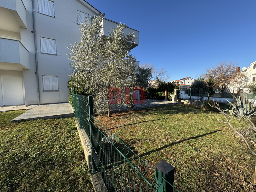 Image 6226138 - 12