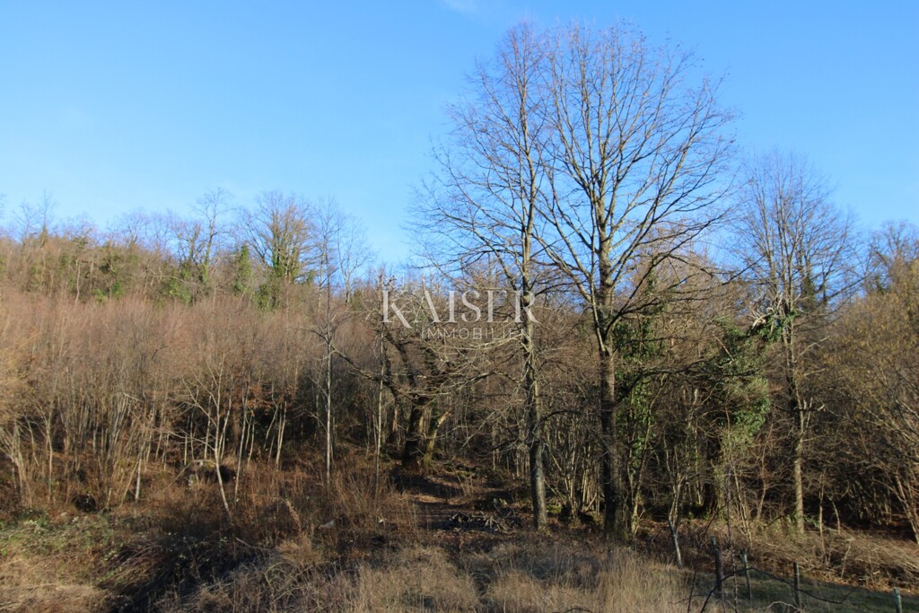 Image 6226164 - 1